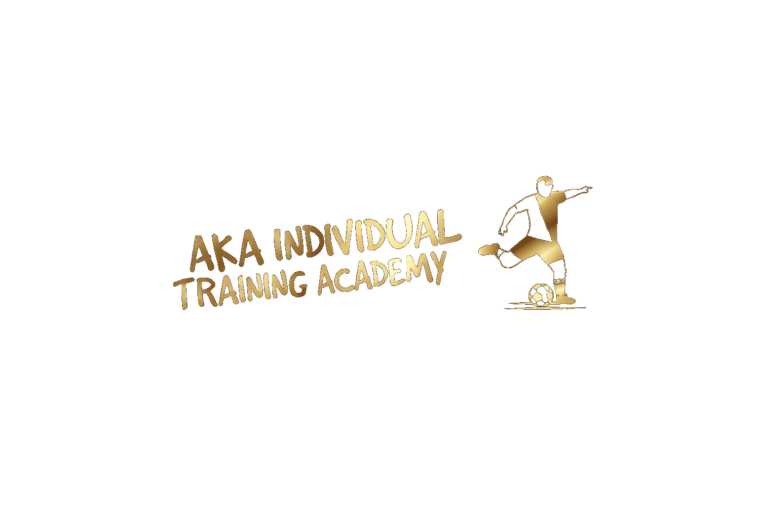 AKA Individual Training Academy